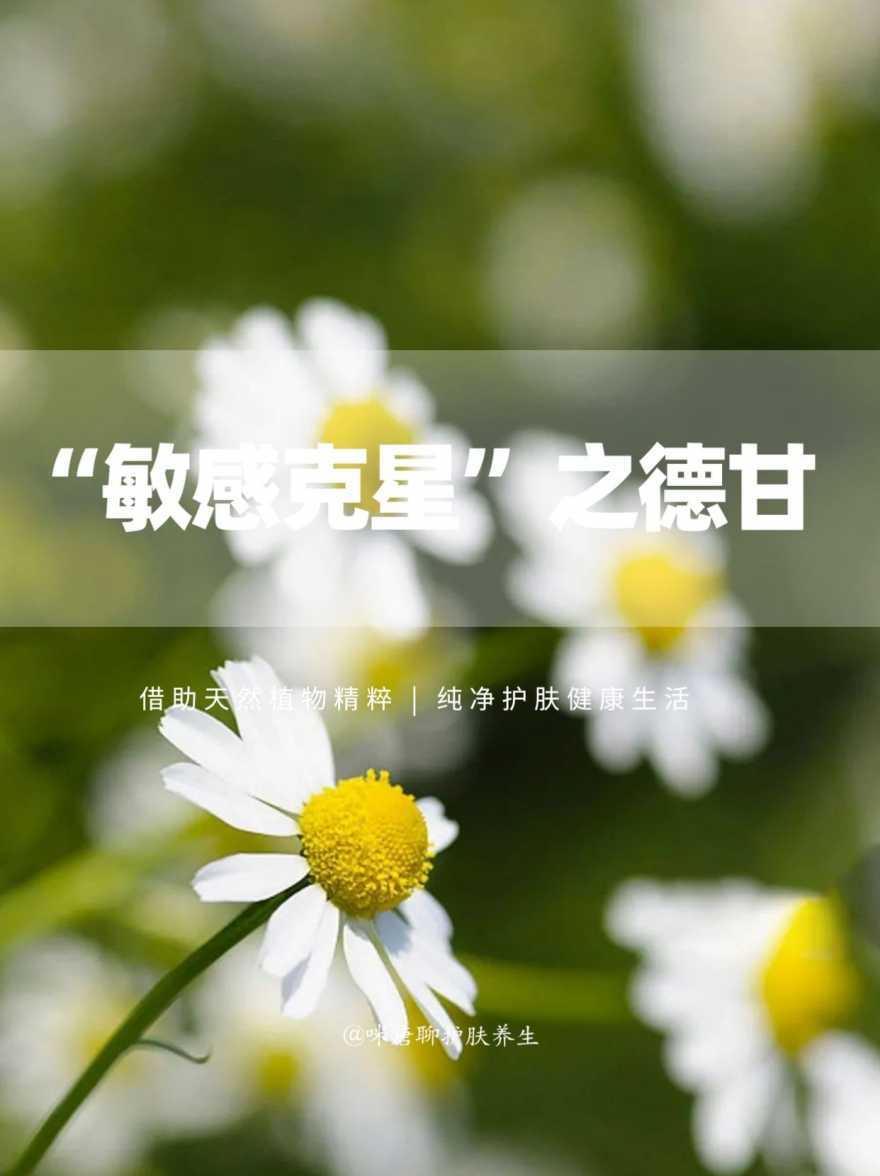 169321065488089.jpeg