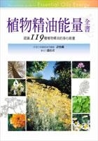 s1361175.jpg