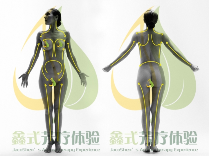 全身按摩方向.jpg