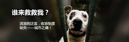 2013061921123146543.jpg