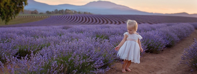 640薰衣草bridestowe-lavender-sweet-girl-photo-credit-Rainee-Lantry.jpg